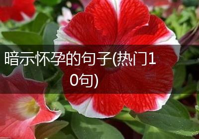 暗示怀孕的句子(热门10句)