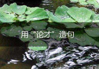 用“论才”造句
