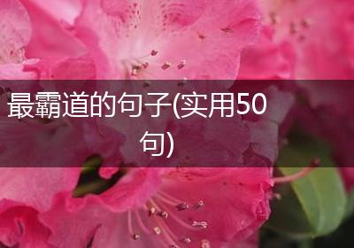 最霸道的句子(实用50句)