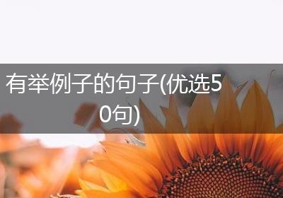 有举例子的句子(优选50句)
