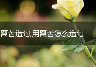 离苦造句,用离苦怎么造句