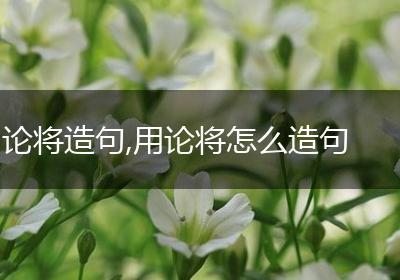 论将造句,用论将怎么造句