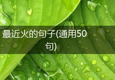 最近火的句子(通用50句)