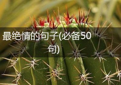最绝情的句子(必备50句)