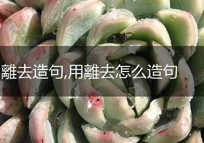 離去造句,用離去怎么造句