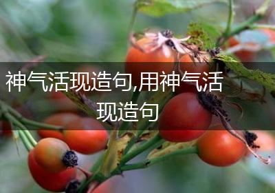 神气活现造句,用神气活现造句
