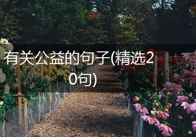 有关公益的句子(精选20句)