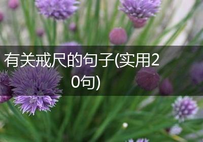 有关戒尺的句子(实用20句)