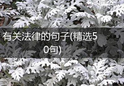 有关法律的句子(精选50句)