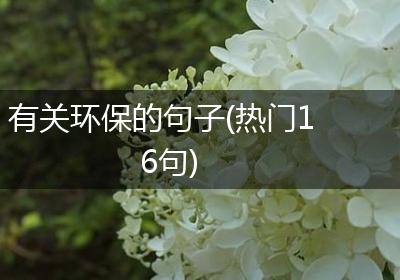 有关环保的句子(热门16句)
