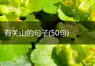 有关山的句子(50句)