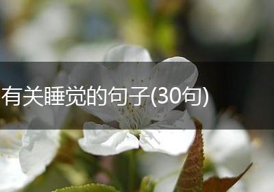 有关睡觉的句子(30句)
