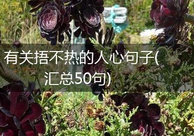 有关捂不热的人心句子(汇总50句)