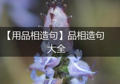 【用品相造句】品相造句大全