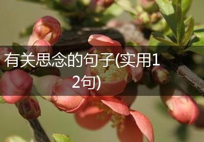 有关思念的句子(实用12句)