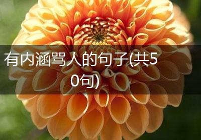 有内涵骂人的句子(共50句)