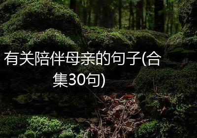 有关陪伴母亲的句子(合集30句)