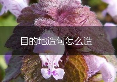 目的地造句怎么造