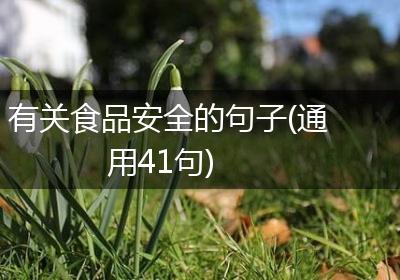 有关食品安全的句子(通用41句)