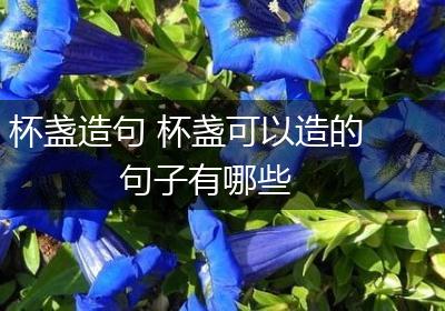 杯盏造句 杯盏可以造的句子有哪些