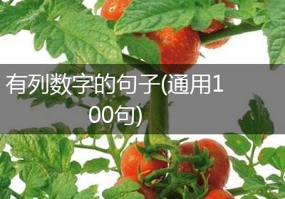 有列数字的句子(通用100句)