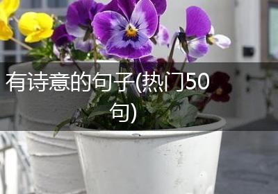 有诗意的句子(热门50句)