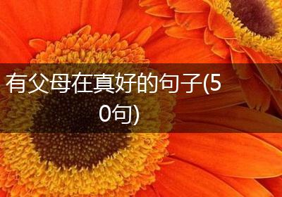 有父母在真好的句子(50句)