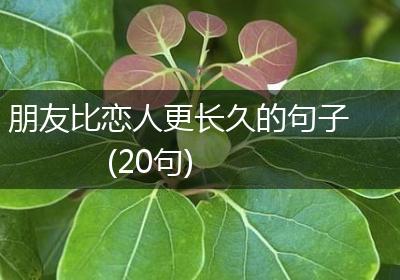 朋友比恋人更长久的句子(20句)