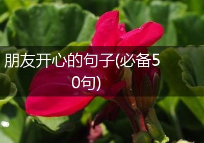 朋友开心的句子(必备50句)