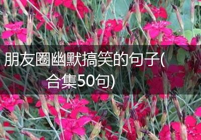 朋友圈幽默搞笑的句子(合集50句)