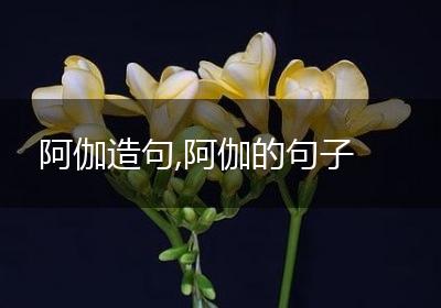 阿伽造句,阿伽的句子