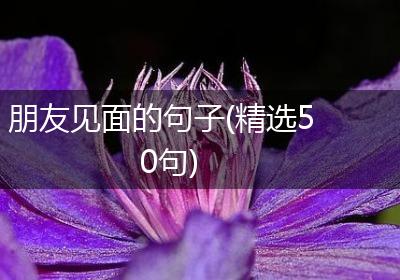 朋友见面的句子(精选50句)