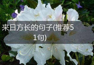 来日方长的句子(推荐51句)
