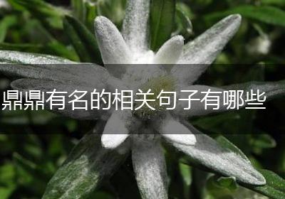 鼎鼎有名的相关句子有哪些