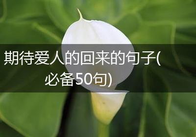 期待爱人的回来的句子(必备50句)