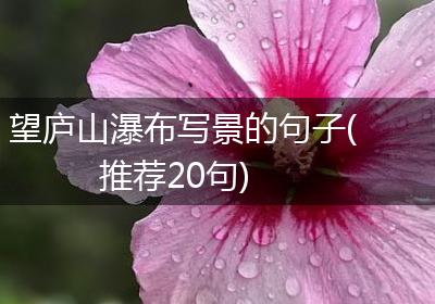 望庐山瀑布写景的句子(推荐20句)