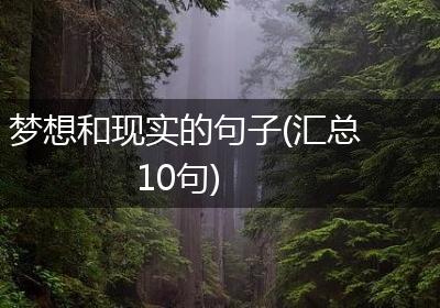 梦想和现实的句子(汇总10句)