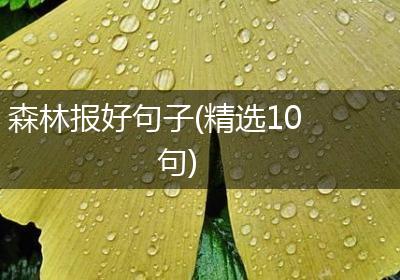 森林报好句子(精选10句)