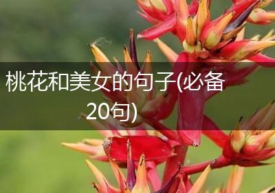 桃花和美女的句子(必备20句)
