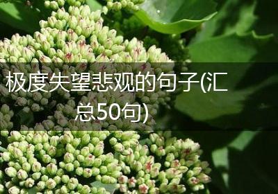 极度失望悲观的句子(汇总50句)