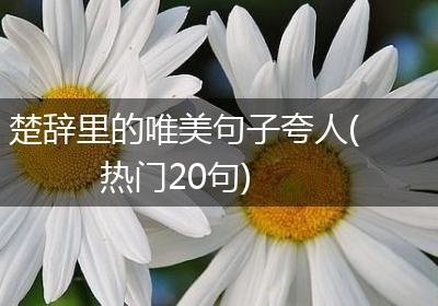 楚辞里的唯美句子夸人(热门20句)