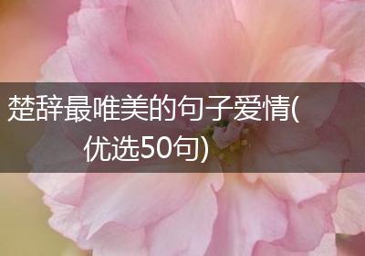 楚辞最唯美的句子爱情(优选50句)