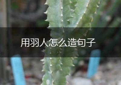 用羽人怎么造句子