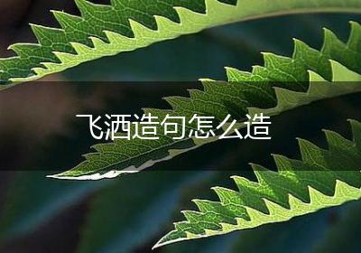 飞洒造句怎么造