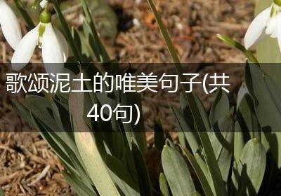 歌颂泥土的唯美句子(共40句)