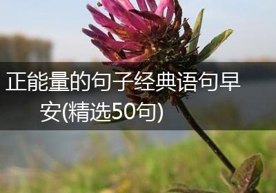 正能量的句子经典语句早安(精选50句)