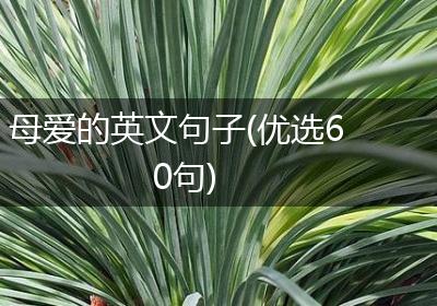 母爱的英文句子(优选60句)