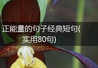 正能量的句子经典短句(实用80句)