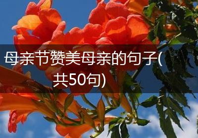 母亲节赞美母亲的句子(共50句)