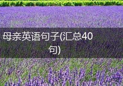 母亲英语句子(汇总40句)